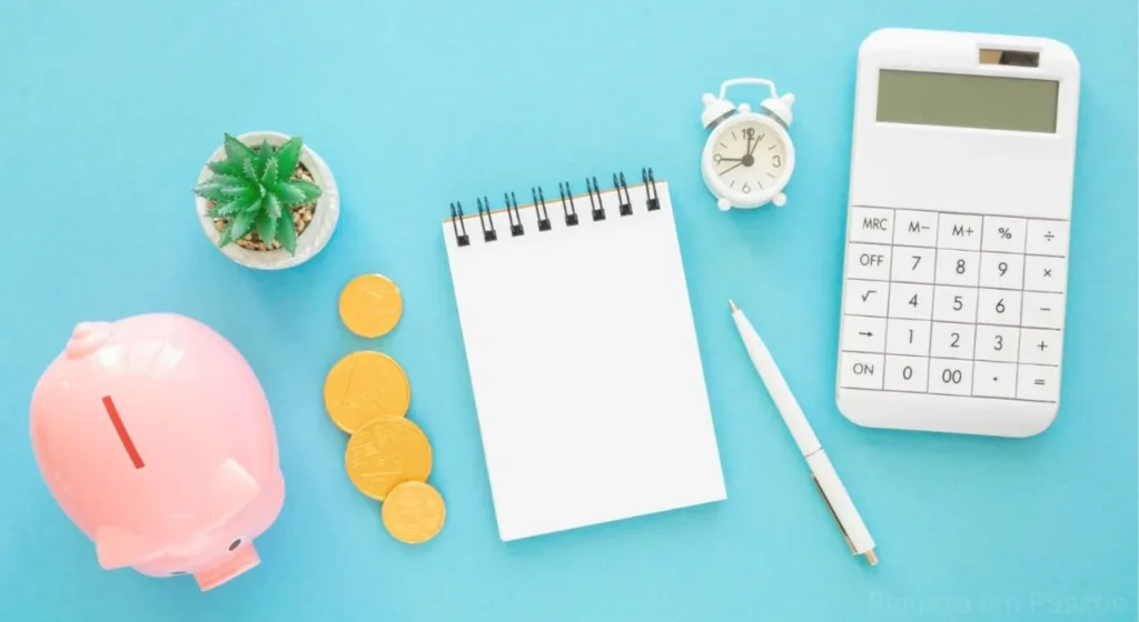 Organizando as Finanças