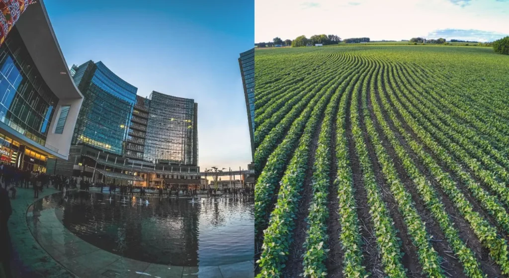 O que são CRIs e CRAs?